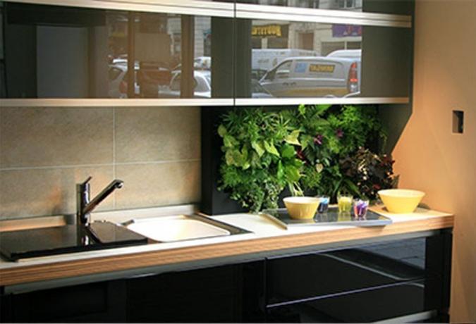 Zaļie virtuvē - svaigas idejas mājas augu izmantošanai