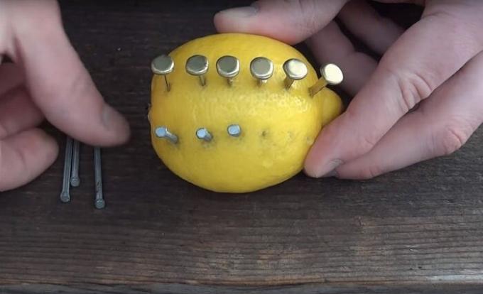  Lemon - noslēpumains citrusu, kas var iepriecināt ne tikai vitamīnus. / Foto: s1.dmcdn.net. 