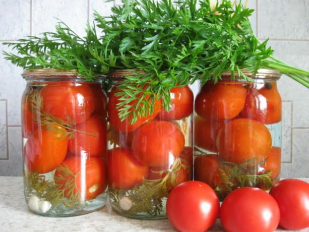 Konservēti tomāti ar burkānu galotnēm ir neparasta garša. Ilustrācija rakstu tiek izmantota standarta licenci © ofazende.ru