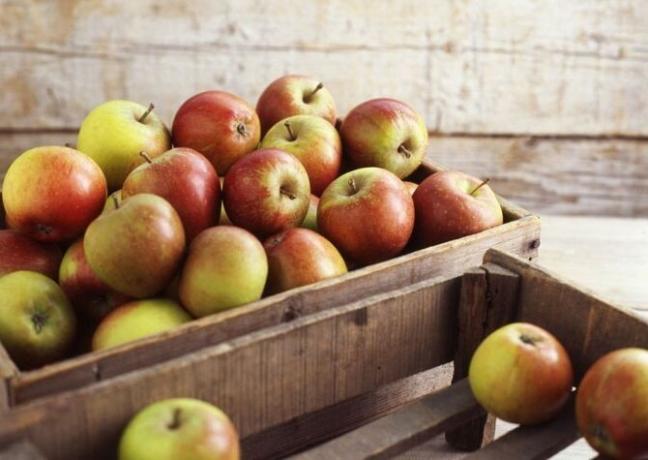 Mans "noslēpumus" ilgtermiņa glabāšanai āboliem. 3 efektīva metode