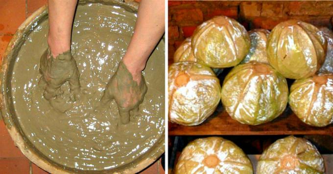 Cabbage in kažoku izgatavoti no māla