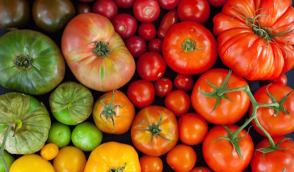 Sākotnējā metode aug tomātiem rīvmaizi