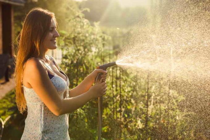 Woman watering dārzeņus. Ilustrācija rakstu tiek izmantota standarta licenci © ofazende.ru