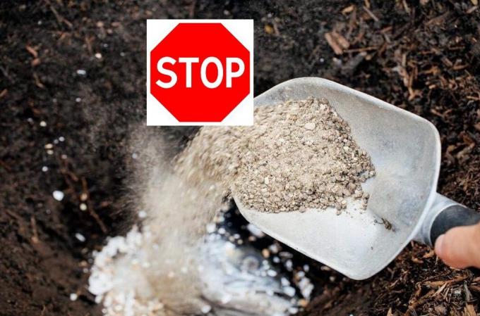 Kāpēc man atteicās izmantot superfosfātu savā dārzā, un kā tas var būt bīstami