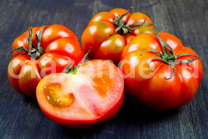 Kā paātrināt nogatavošanās tomātiem