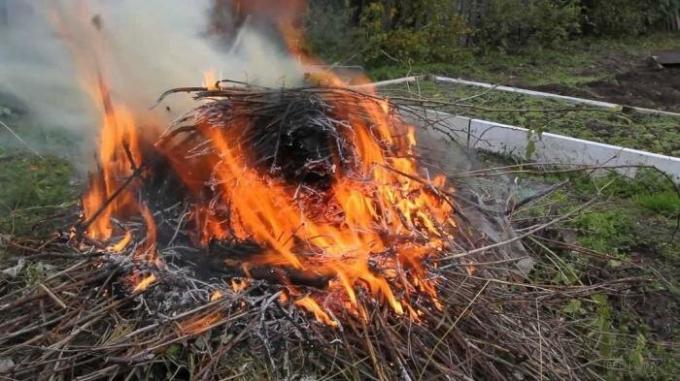 7 lietas, jums nevajadzētu darīt savā valstī, nevis būt problēmas ar likumu