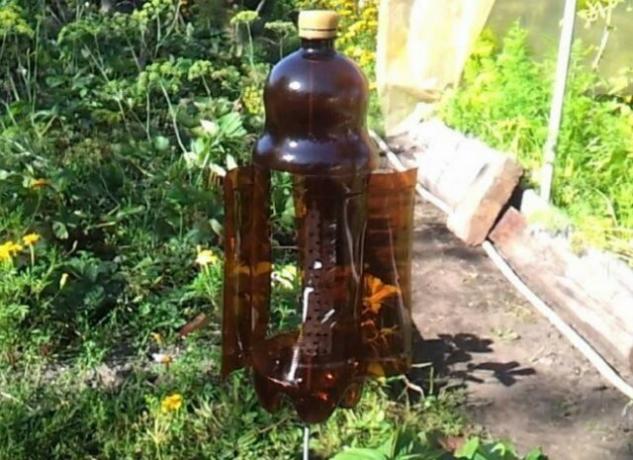 Noderīga izmantošana plastmasas pudelēm dārzā (2 daļa)